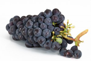 grapes-2032838_1920